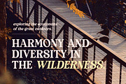 Thrive Wood - Organic Serif, a Serif Font by Letterhend Studio (Thumbnail 4 of 9)