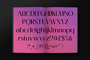 Gradien - Modern Stylish, a Serif Font by RockboyStd (Thumbnail 9 of 12)