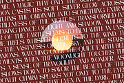 Moonlit Charm Modern Display Serif, a Serif Font by timelesstype.co (Thumbnail 14 of 20)