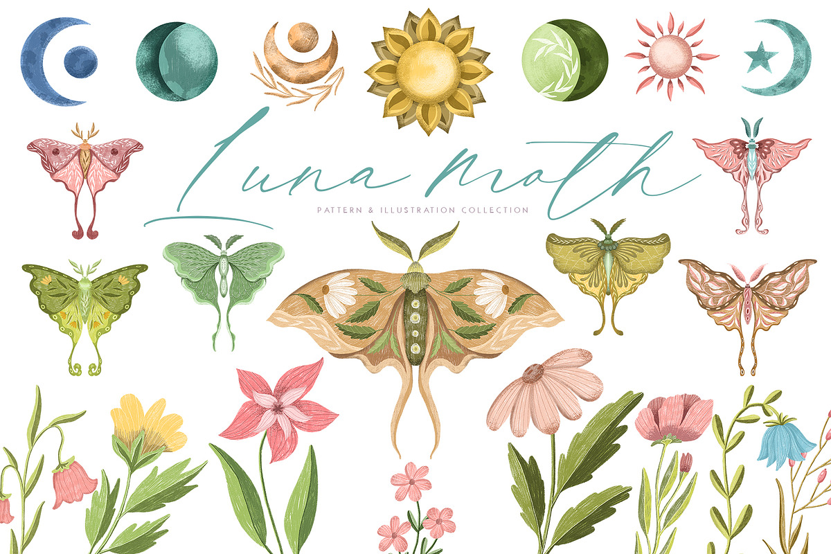 Luna moth clipart & pattern, an Animal Illustration by Yelloo Fish (Photo 1 of 11)