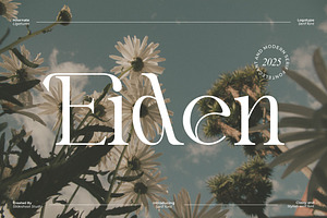 Eiden || Modern Serif Font