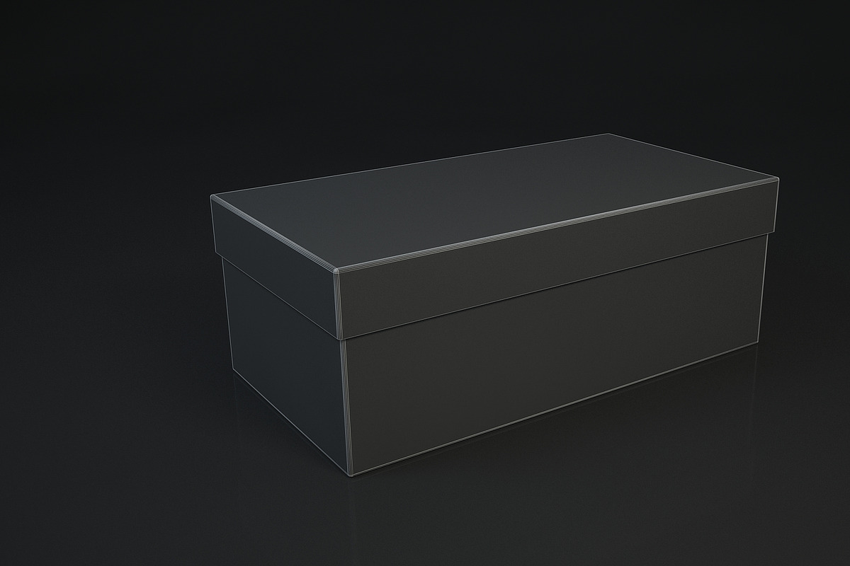 Shoe box ECCO, an Object 3D Model by mrGarret (Photo 5 of 7)