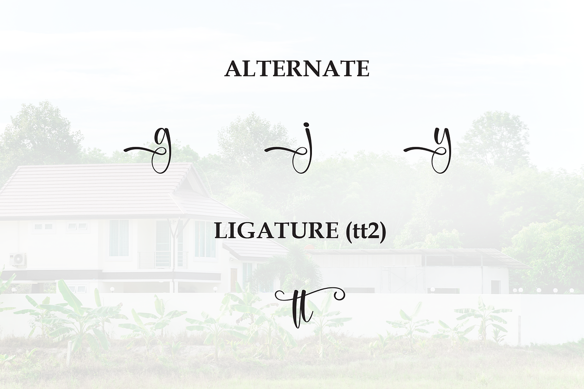 Cottage | Script Font, a Handwritten Font by Scratchones (Photo 8 of 9)