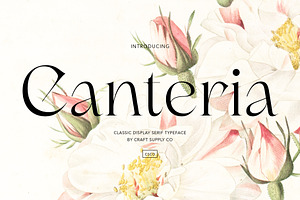 Canteria - Classic Display Serif