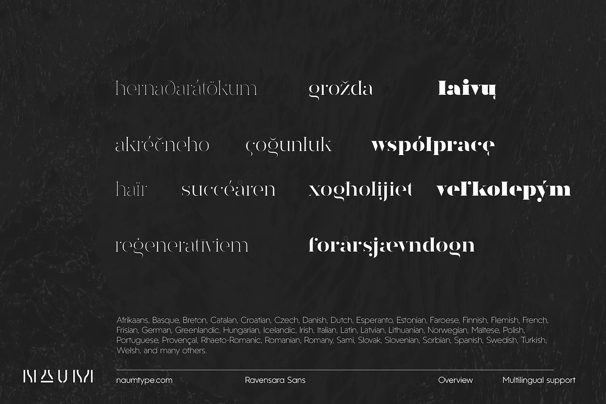 Ravensara Stencil | 9 fonts, a Serif Font by NAUM (Photo 3 of 6)