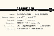 Aldogizio, a Serif Font by TeGeType foundry (Thumbnail 6 of 7)