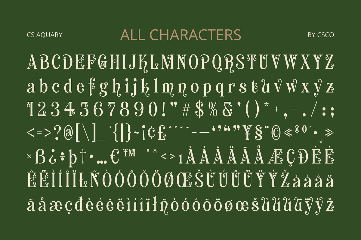 CS Aquary – Fantasy Font, a Serif Font by Craft Supply Co. (Photo 8 of 8)