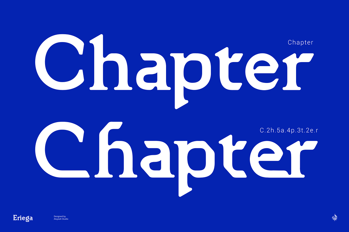 Eriega | Modern Tech Display, a Serif Font by Aluyeah Studio (Photo 9 of 16)