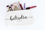 Dorothy, a Script Font by Bosstype Studio (Thumbnail 4 of 8)