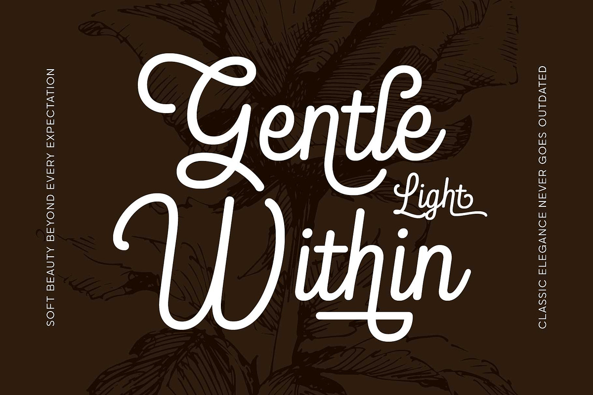 Blandony - Modern Vintage Monoline, a Script Font by Novitype (Photo 8 of 12)