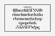 Tinday Serif Font, a Sans Serif Font by Artiveko (Thumbnail 8 of 8)