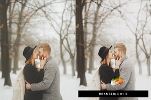 50 Winter Lightroom Presets And LUTs