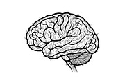 Brain Tree Knowledge Design Bundle, an Illustration by Gaye Art (Thumbnail 7 of 31)