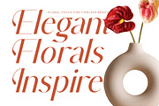 Muteds Starlit Modern Serif Font, a Sans Serif Font by timelesstype.co (Thumbnail 12 of 20)