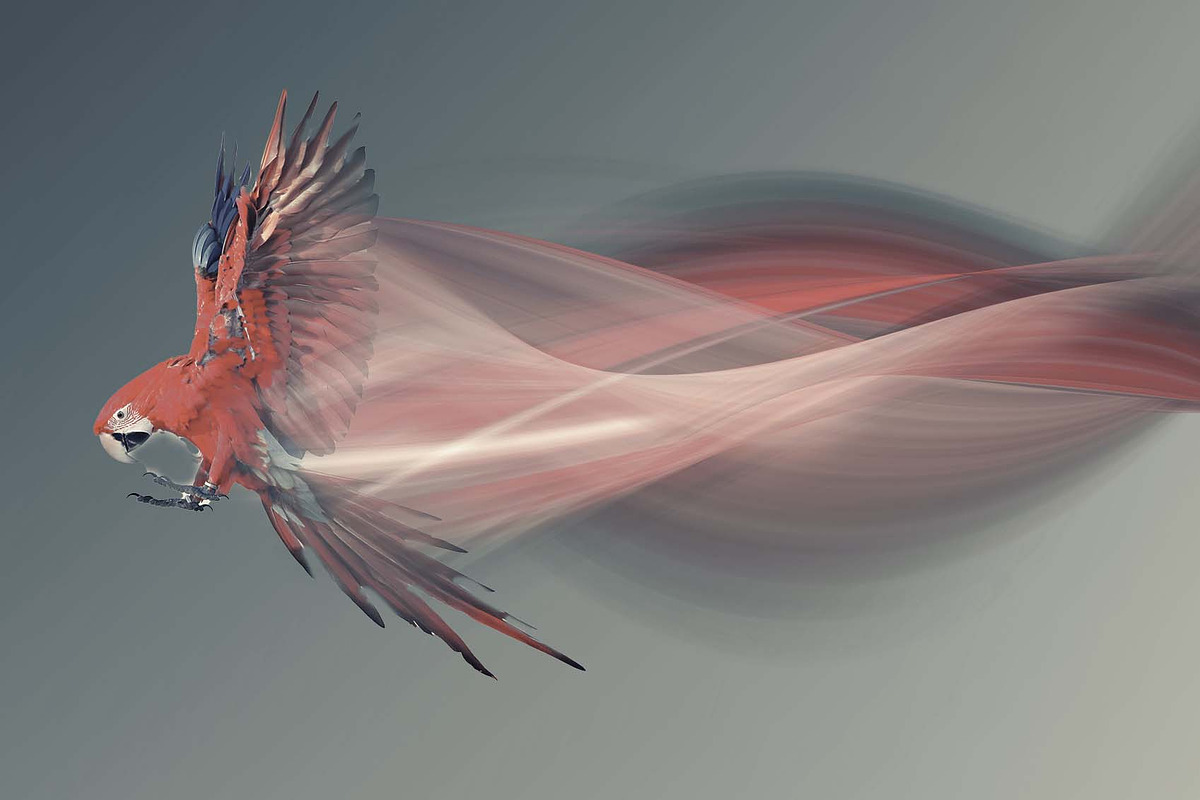 Light Trails Effect Photoshop Action, an Action Add-On by MRI STUDIO (Photo 9 of 14)