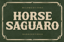 Horse Saguaro - Cowgirl Font