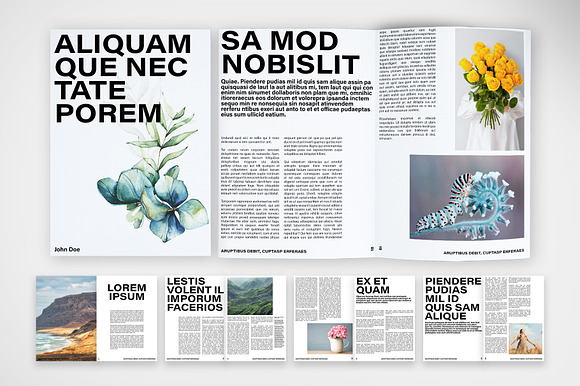 Bold Typography Brochure Template preview 6