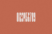 Sucre | Vintage Condensed Sans, a Sans Serif Font by Jen Wagner Co (Thumbnail 8 of 8)