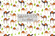 Arabian camel Dromedary clip art, an Animal Illustration by pet design shop (Thumbnail 4 of 5)
