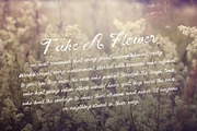 Vinecta - Retro Script Font, a Script Font by Dhabee (Thumbnail 11 of 16)