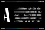 HOLOGRAM - Display Font, a Serif Font by KAZER STUDIO (Thumbnail 8 of 11)