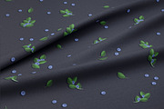 Blueberry sprigs - Set patterns, a Pattern Graphic by Yummy (Thumbnail 6 of 9)