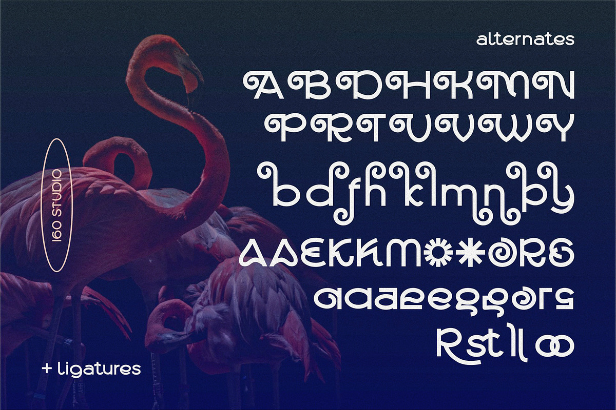 Mallesi Modern Sans, a Sans Serif Font by 160 Studio (Photo 6 of 13)