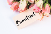 Interest | Script Font, a Handwritten Font by Scratchones (Thumbnail 5 of 8)