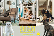 3300+ Photo Overlays Bundle+FREE Act, an Action Add-On by Jacpot007 (Thumbnail 13 of 54)