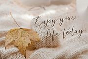 Estelle Lovely Script, a Script Font by Heinzel Std (Thumbnail 8 of 13)
