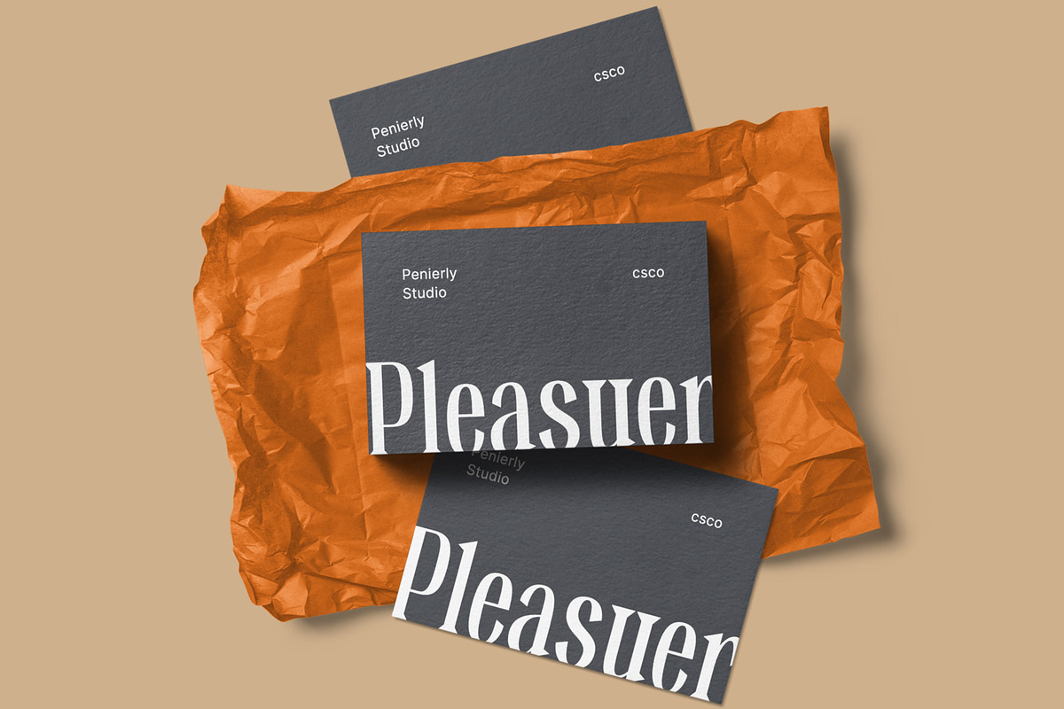 Benida – Elegant Serif, a Serif Font by Craft Supply Co. (Photo 3 of 8)
