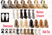 Dog Breeds Clipart,Dogs clip art,Pet, an Illustration by chilipapers (Thumbnail 3 of 4)