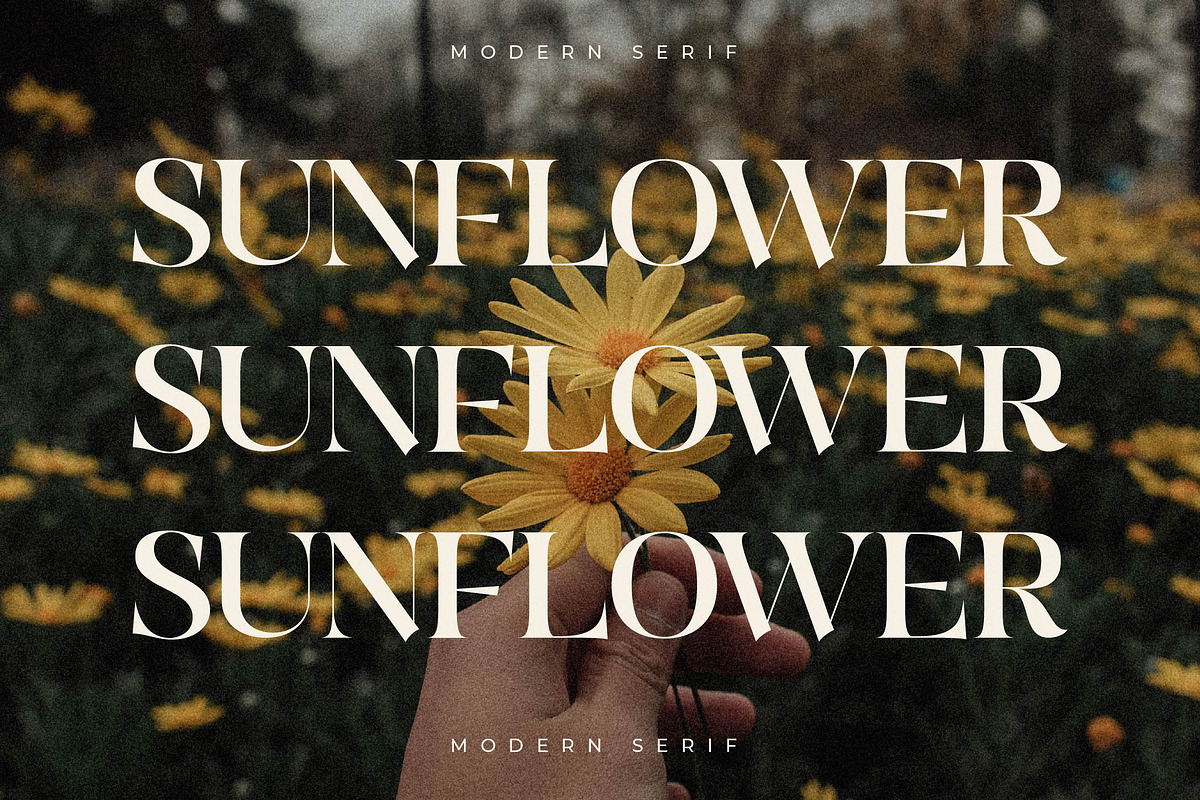 Quilge Modern Serif, a Serif Font by Letterena Studios (Photo 12 of 15)