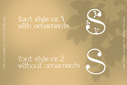 Xaver Nature Font, a Sans Serif Font by Xaver DesignStudio (Thumbnail 7 of 12)