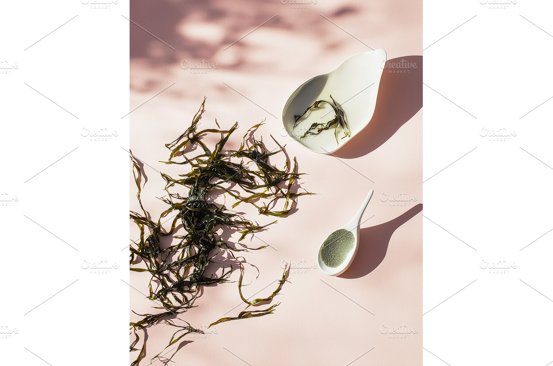 Dried seaweed and powder with white, a Health & Medical Photo by Rodica Ciorba