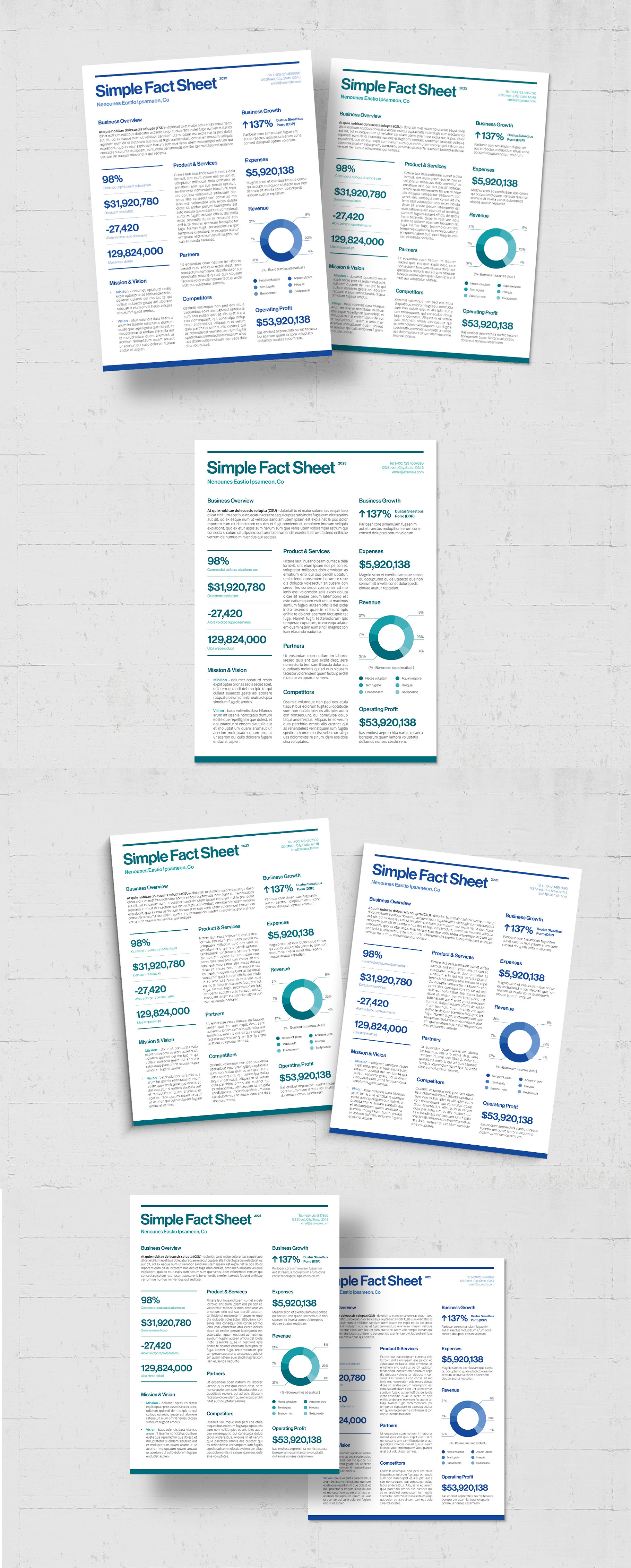 Simple Factsheet Template, a Flyer Template by BrandPacks