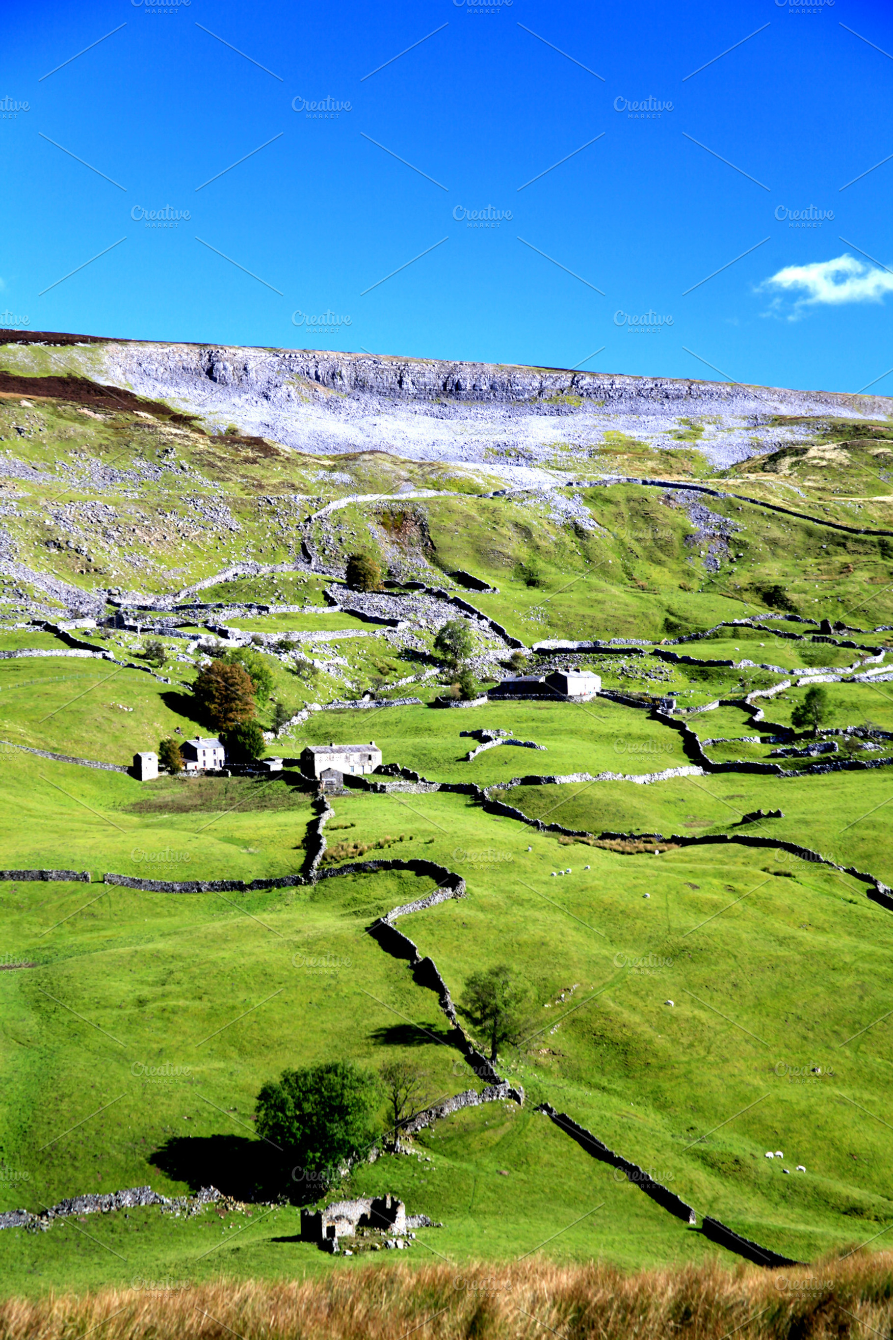Daleside