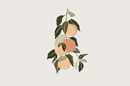 Orange tree branch vector