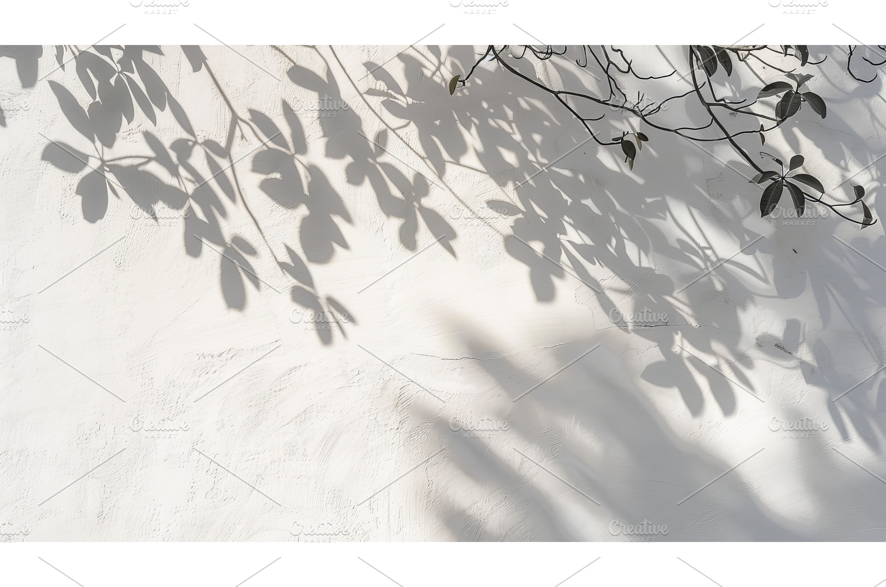 A white wall with an abstract shadow, a Background Photo by ZinetroN