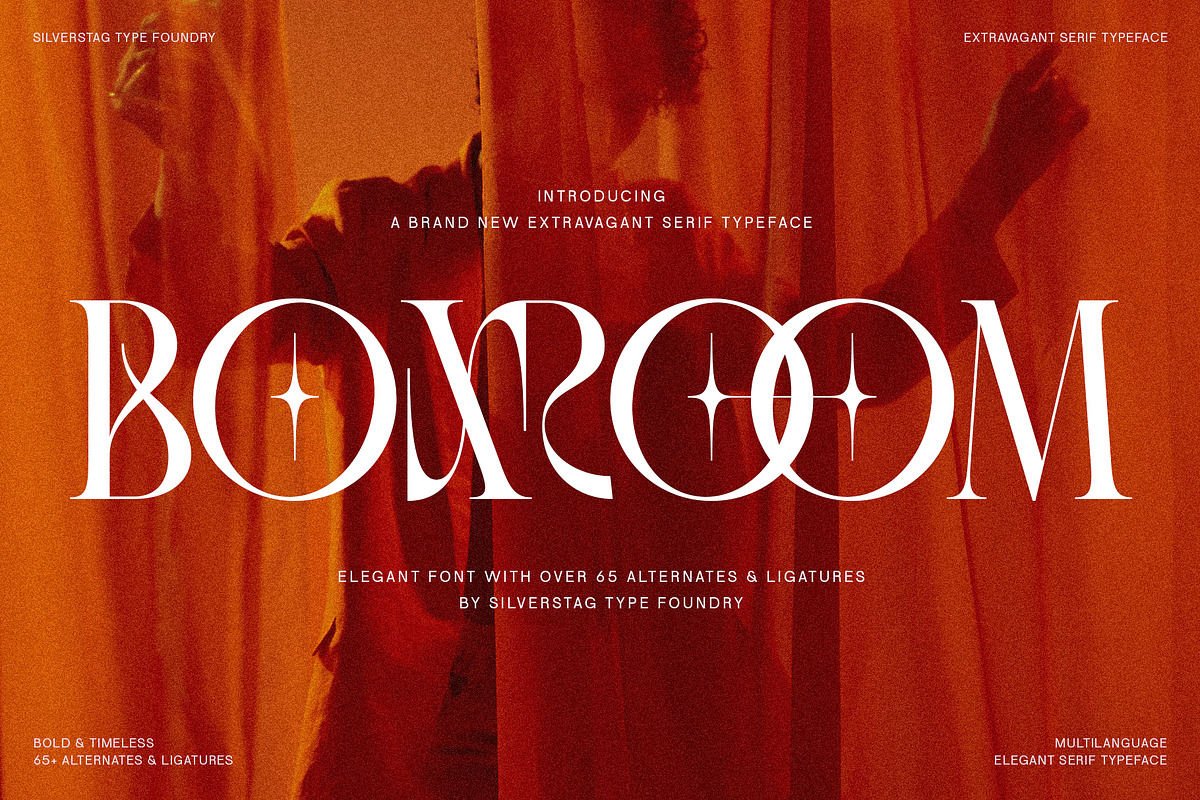SLTF BOXROOM - Modern Serif Typeface, a Serif Font by SilverStag Type Foundry (Photo 1 of 30)