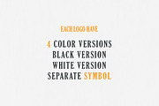 10 Vintage Logo Designs, a Branding & Logo Template by VP Fonts (Thumbnail 2 of 12)