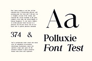 Allure Majestic Serif Family Font, a Serif Font by UICreative (Thumbnail 6 of 12)
