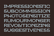 SAE SOLTAIRE - Artisan Tropical Font, a Handwritten Font by Saera Type (Thumbnail 7 of 17)