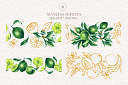 Lime Watercolor Collection, a Food Illustration by SashaKondr (Thumbnail 15 of 15)