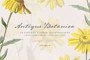 Vintge Flowers Vol.04 - Extra Large, an Illustration by Greta Ivy (Thumbnail 1 of 18)