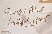 Perfect Beloved - Monoline Font, a Script Font by Creavibes Design (Thumbnail 3 of 12)