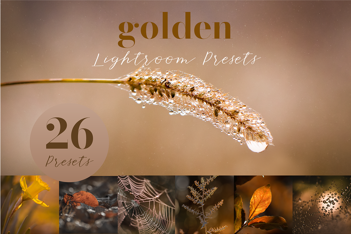 Golden Lightroom Presets, an Action Add-On by CL Creative Studio (Photo 1 of 9)