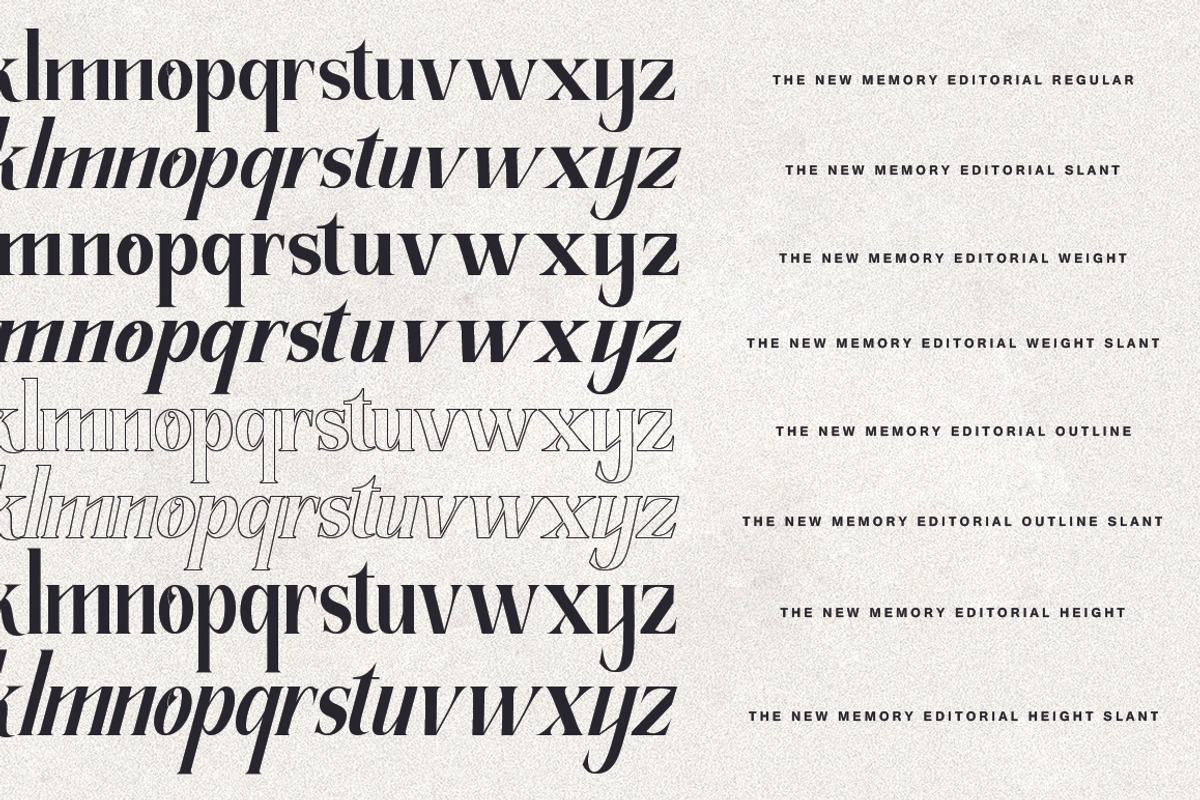 The New Memory, a Serif Font by TM Type (Photo 16 of 17)