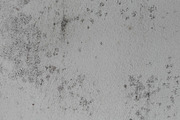 Mold Wall Texture Pack, a Texture Graphic by The_DrX (Thumbnail 4 of 13)