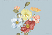 Watercolor Poppy. Bright Wildflower, a Decorative Illustration by Ooh Lily (Thumbnail 9 of 15)